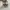 Nike SB Dunk Low Pro "Reverse Reese Forbes photo 4