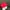 Sportswear Hat Pria red photo 2