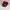 Snapback 2 warna photo 5