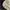 Sportswear Hat Pria cream photo 5