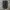 Nylon Wind Short Adidas Sz 33 photo 4