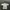 Polo Shirt Jack Nicklaus Sz M