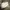 BAGGY CARGO CAMO MILLITARY photo 10