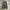 BAGGY CARGO CAMO MILLITARY photo 8