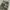 BAGGY CARGO CAMO MILLITARY photo 6
