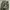 BAGGY CARGO CAMO MILLITARY photo 9