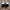 Adidas Indie Casual Sneakers Pria black photo 4