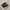 Adidas Indie Casual Sneakers Pria Black