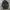 Palmier Spirit of Youth Zip Jacket Sz Xs photo 2