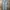 The 1964 Denim Company Classic Slim Jean Pants Sz 36 photo 3