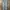 The 1964 Denim Company Classic Slim Jean Pants Sz 36 photo 2