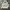 Capture AOP Pullover Hoodie Sz XL photo 2