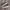 VANS Emo Casual Sneakers Pria white brown photo 1