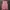 Maison Margiela Luxury Avant Garde Shirt dress Wanita pink photo 1