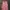 Maison Margiela Luxury Avant Garde Shirt Dress Wanita Pink