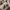 Long Sleeve Boxy Vintage Shirt Nova photo 6