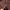 Halzip NFL  photo 4