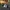 Dr Martens Adrian Tassel BW Loafer Loafers Shoes Docmart 45 