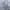 Converse Streetwear Sweatshirt Pria silver gray photo 2
