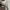 Valentino Garavani VLTN Leather X Fabric White Black photo 5