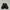 Nike Af1 low X Ambush black white photo 2