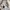 DIESEL MARTEN FL BOMBER JACKET REVERSIBLE  photo 8