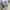 DIESEL MARTEN FL BOMBER JACKET REVERSIBLE  photo 10