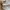 Adidas Sportswear Casual Sneakers Pria white cream photo 3