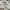 Atlas Headwear Camouflage Pattern Hat photo 3