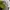 Jaket Outdoor Hiking Gunung Jacket Gunung Hiking Outdoor TNF photo 9
