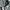 WAHLER 2007 VTG POLIZEI JACKET GERMANY photo 4