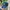 TOPI MESH BACK CARHARTT RUGGED FLEXFIT TWIL PATCH ORIGINAL photo 3