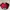 49ERS SF NEW ERA SNAPBACK  photo 2