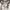 Abercrombie & Fitch New York White Jacket with Double Zipper photo 4
