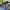 TOPI MESH BACK OUTDOOR CAP TACKLE DIRECT FLAG ORIGINAL photo 8