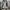 Jaket Nepa Xvent Interhole Extreme Adventure Gropcore Hooded photo 1