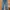 Levis 505 Regular Fit