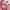 Guess Casual Hobo bag Wanita pink photo 3