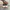 Adidas Casual Casual shoe Pria gray photo 4