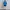 Adidas Blue Colour Windbreaker Jacket