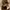 ARIAT cowboy boots photo 6
