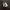 Nike Air Jordan Retro 13 photo 1