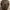 Eddie Bauer Genuine Lambskin Leather Jacket