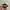 Harley davidson police cap photo 2