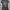 American Eagle Grey Charcoal Graphic Fit Body Tee Top