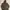 Carhartt Vintage Skater Hoody Pria Green