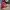 Converse Allstar Hi Red photo 3