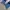 True Religion Low Rise Bootcut Jeans photo 4