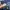 True Religion Low Rise Bootcut Jeans photo 9