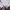 Ben Sherman Men's Retro Geo Polo White Blue Red Punk Origina photo 2